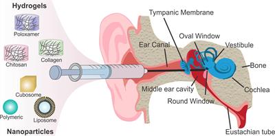 Developments in Bio-Inspired Nanomaterials for Therapeutic Delivery to Treat Hearing Loss